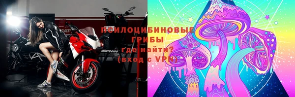 соль ск Алексин